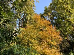 -成都市活水公园