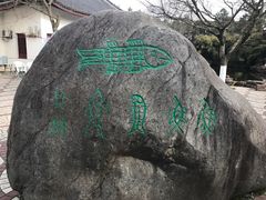 -范蠡湖公园