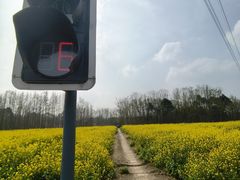 -桤木河湿地公园