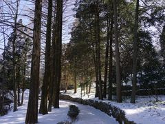 -庐山风景区花径公园