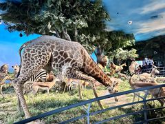 -国家自然博物馆