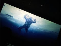 -中影国际影城(大唐西市4K临境音店)