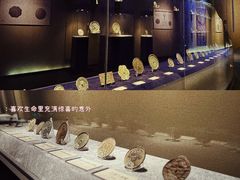 -鄂尔多斯青铜器博物馆