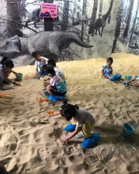 -恐龙探索乐园(磁器口店)