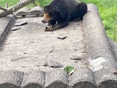 -上海野生动物园