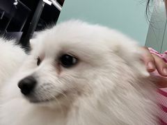 -怪兽屋·羊驼·猫咖·狗咖(俊华广场店)