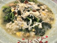 -沙田新强记烧鹅海鲜酒家