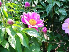 -长春公园(普阳街道)