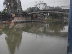 -西塘人家•黑金冠本地好店