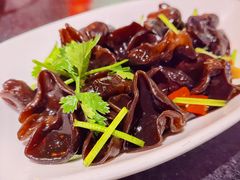 凉拌木耳-蜀都丰 川菜·水煮活鱼(万象九宜城店)