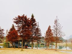 -眉山湿地公园(东坡区)