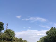 -永定河休闲森林公园