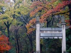 -灵谷景区