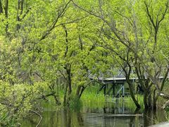 -西湖风景区-江洋畈生态公园