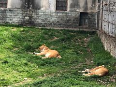 -西安秦岭野生动物园
