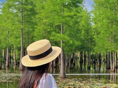 -白鹭湾湿地公园