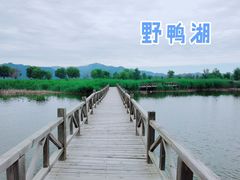 -野鸭湖国家湿地公园