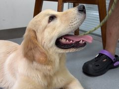 -心仪动物医院·牙专科·肿瘤·心脏科(西客站院)