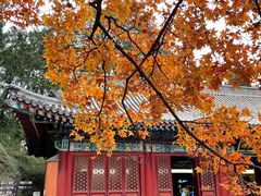 -香山公园