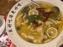 -胡桃里民谣酒馆