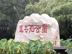 -莲花池公园