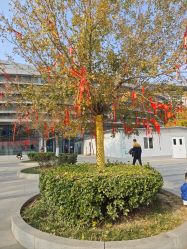 -天津市儿童医院(北辰龙岩院区)