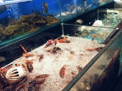 -苏格里岛自助烤肉海鲜火锅(成都金牛万达店)