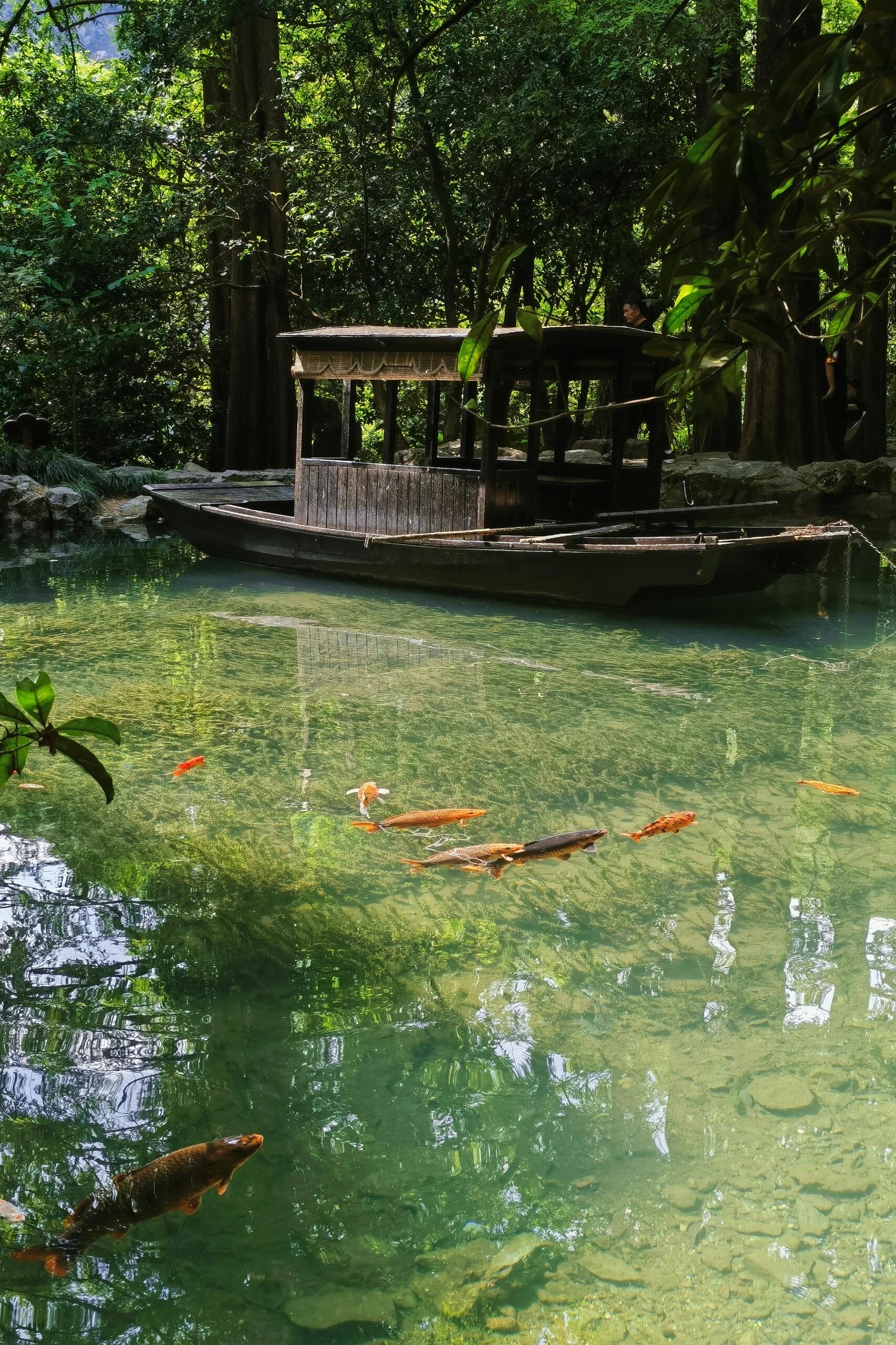 我的附近旅游景点图片