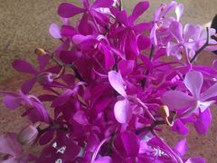 -曼谷王子宫殿酒店