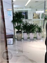 -罗亚帝造型·烫发染发
