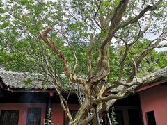 -剑门关风景区