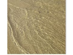 -西涌国际滨海旅游区