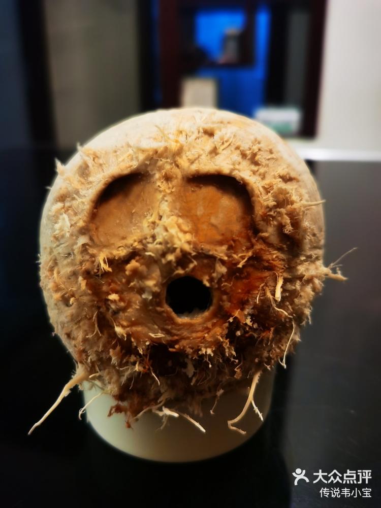 椰子壳手工花瓶
