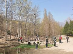 -白水寺森林公园