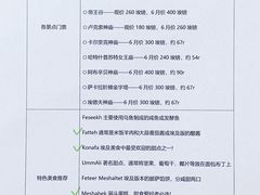 -开罗国际机场