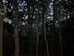 -九曜山