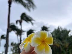 -亚龙湾希尔顿自助餐厅·海鲜·烧烤·沙滩BBQ·现场乐队