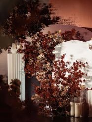 -红丝高端婚礼中心(旗舰店)