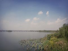 -南湖湿地公园