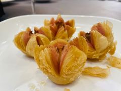 -丁老爷子苏香圆