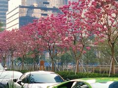 -深圳湾万象城(南山店)