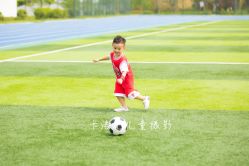 -卡洛儿高端儿童摄影(郑东新区店)