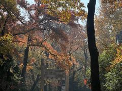 -灵谷景区