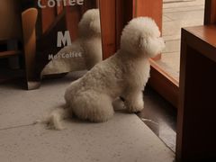 -MOI COFFEE(江山汇悦山府店)