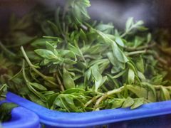 -老味道1992(武当山店)