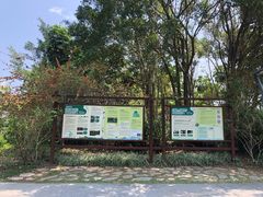 -福田红树林生态公园