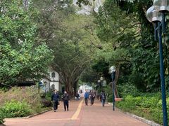 -九龙公园