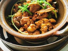 -华仔土鸡店(高边店)