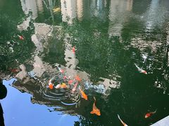 -上海浦东星河湾酒店