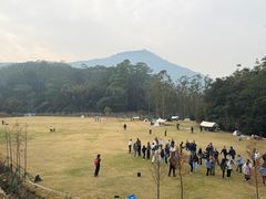 -黄埔油麻山森林公园